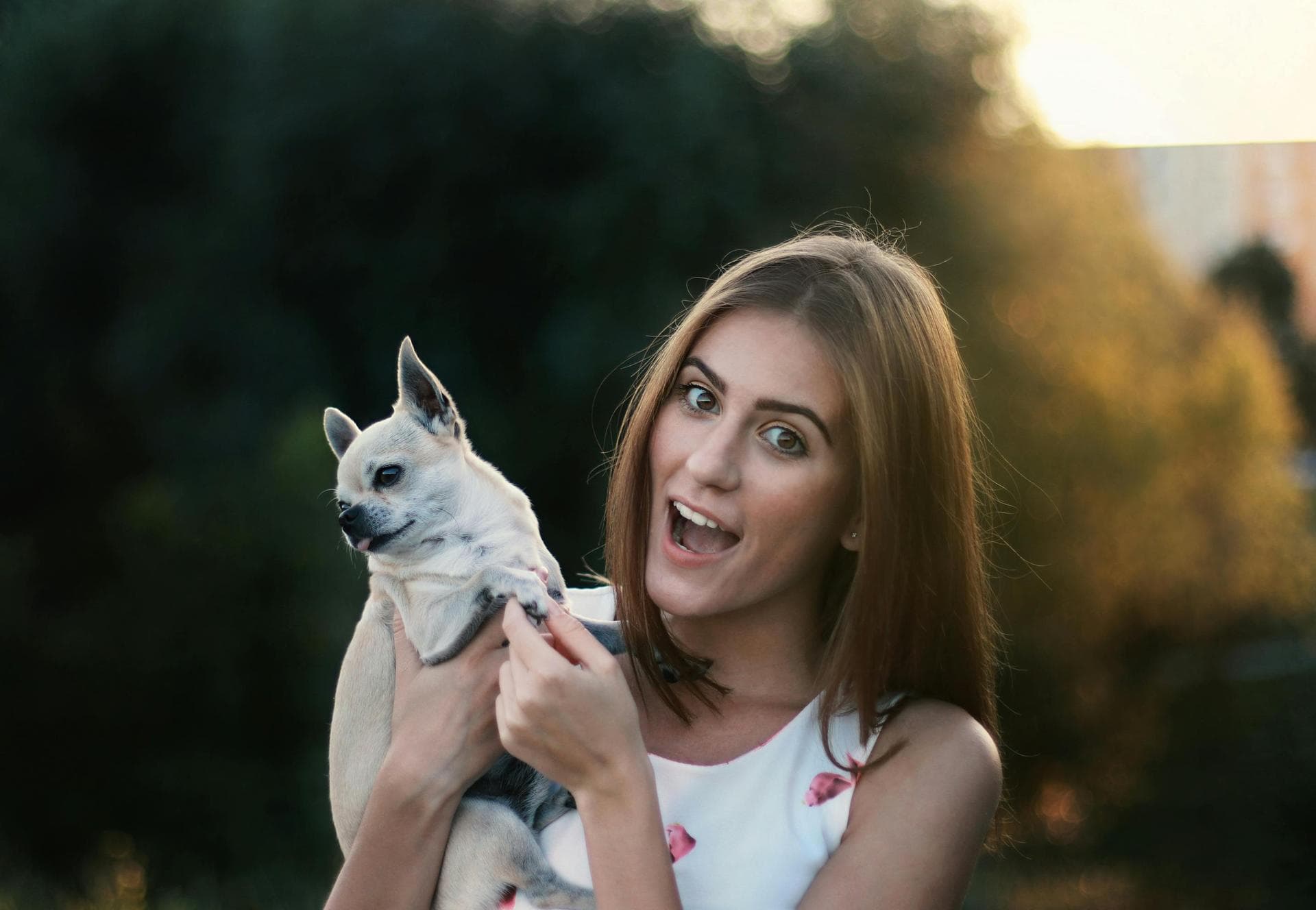 Specialist Vets in Rochester